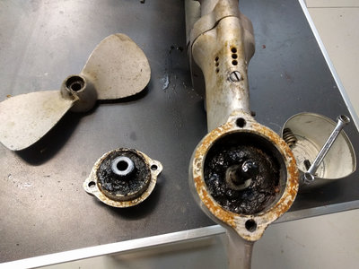 gearbox grease.jpg