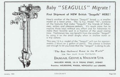 baby british seagulls.jpg