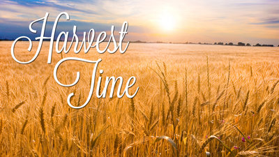 Havest-Time-copy.jpg