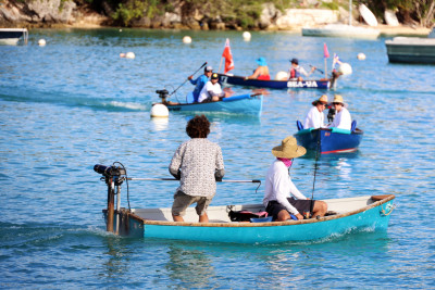 E1B(H) - Huckleberries