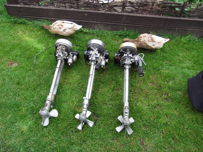 3 fs and 2 khaki campbells